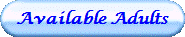Available Adults