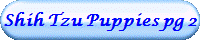 Shih Tzu Puppies pg 2